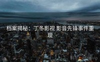 档案揭秘：丁冬影视 影音先锋事件重现