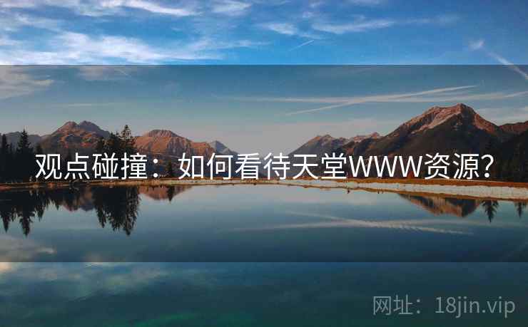 观点碰撞：如何看待天堂WWW资源？
