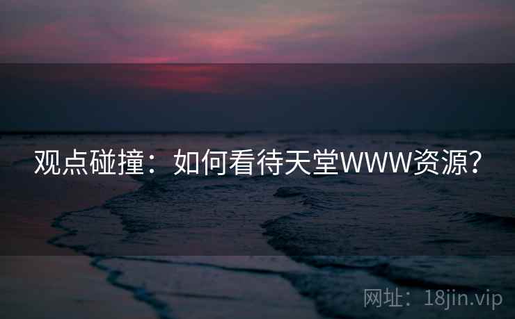 观点碰撞：如何看待天堂WWW资源？