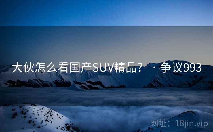 大伙怎么看国产SUV精品？ · 争议993